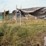 TOMA TERRENOS DE LA HERMANA JORDÁN EMPALME GRANEROS CUNA DE LA NOTICIA