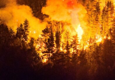 Nación declarará la Emergencia Ígnea para las provincias patagónicas