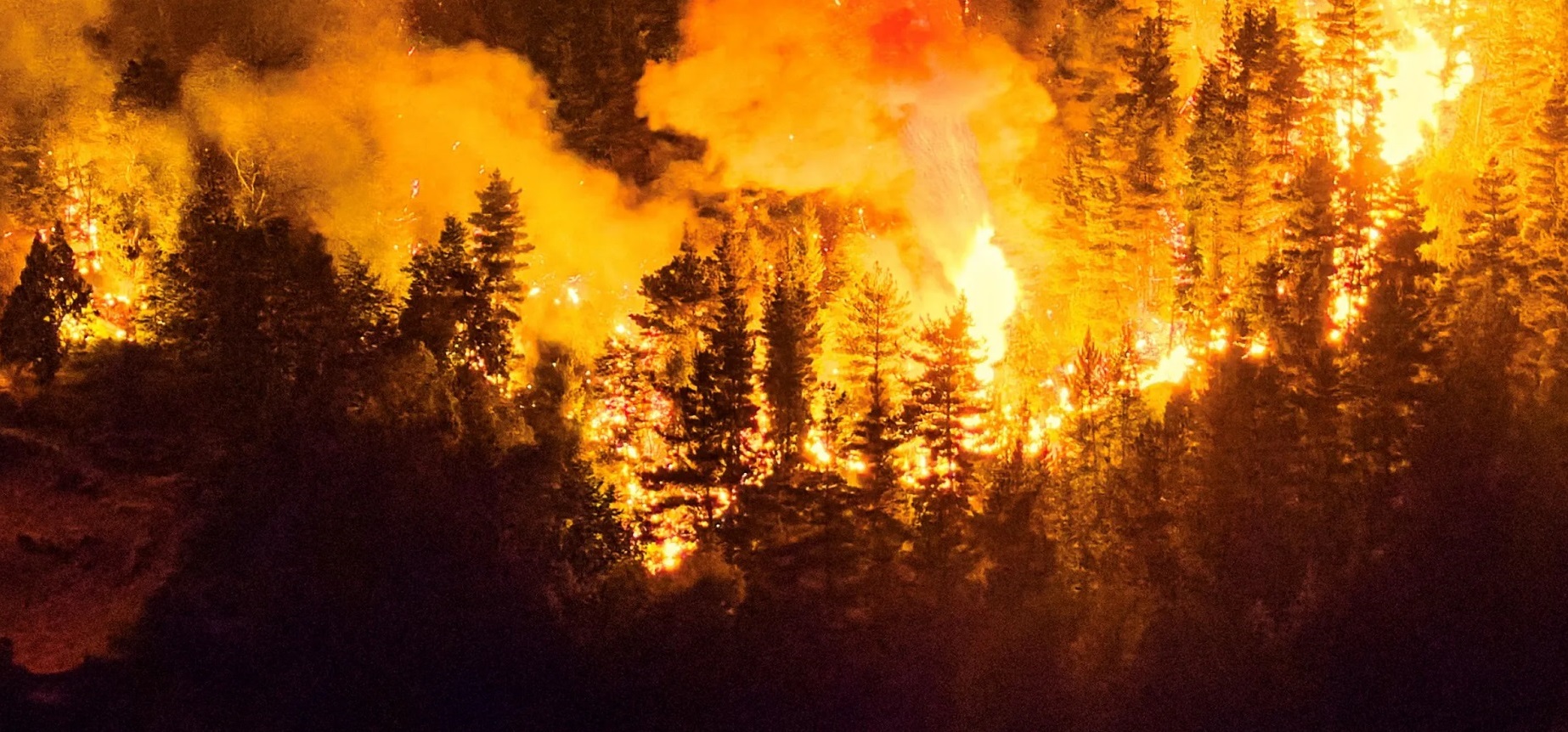Nación declarará la Emergencia Ígnea para las provincias patagónicas