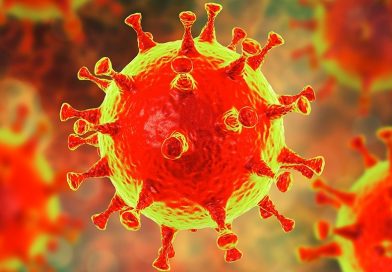 La Organización Mundial de la Salud recomendó 14 días de aislamiento para frenar la circulación del virus