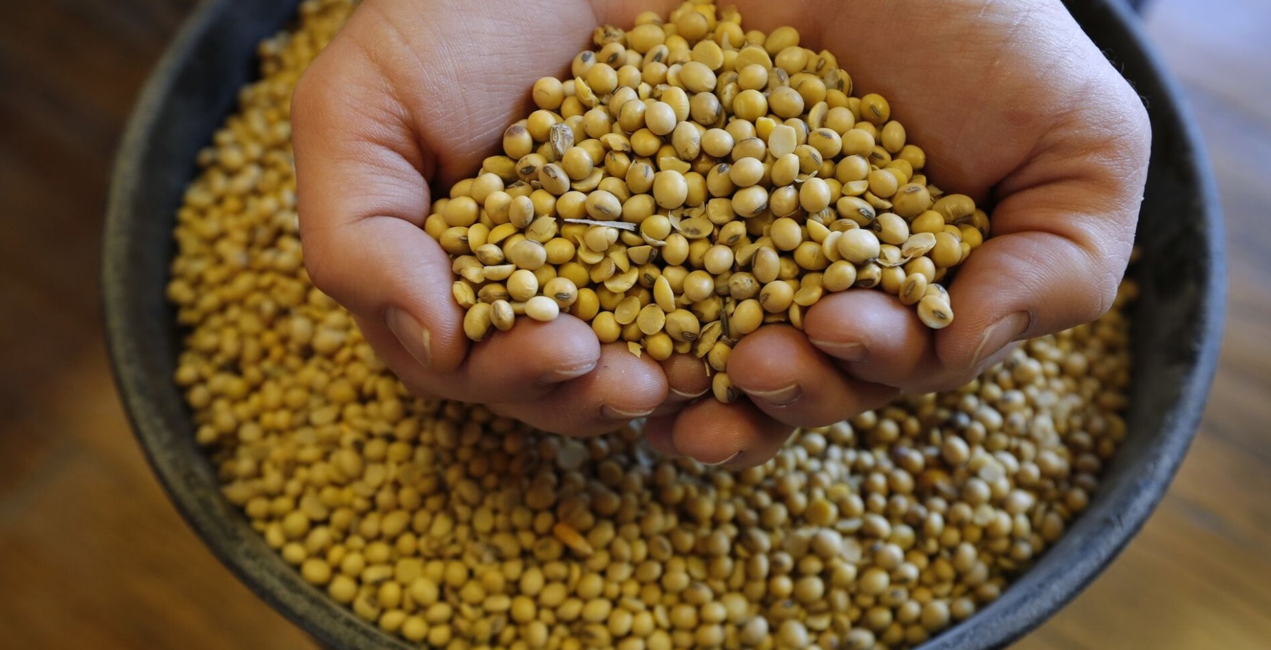 El agro argentino logró un récord histórico de exportaciones en el primer semestre de 2026