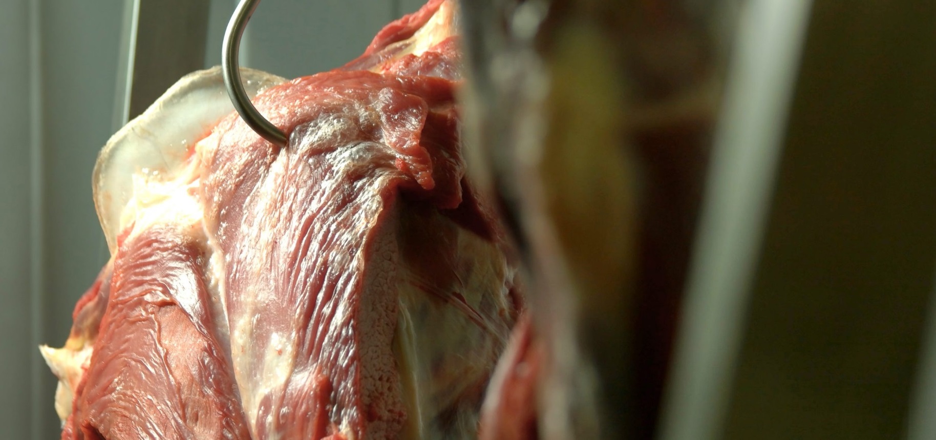 China habilitó tres frigoríficos argentinos para exportar carne vacuna
